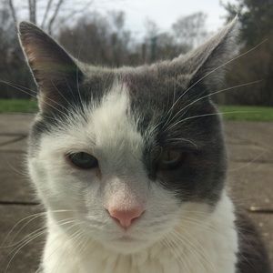 Meet your Posher, Faith